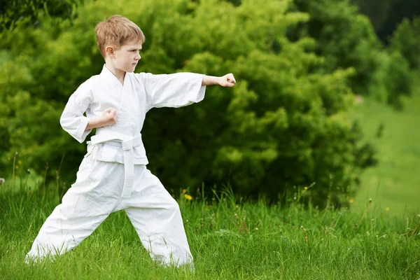 Little boy make karate exercises