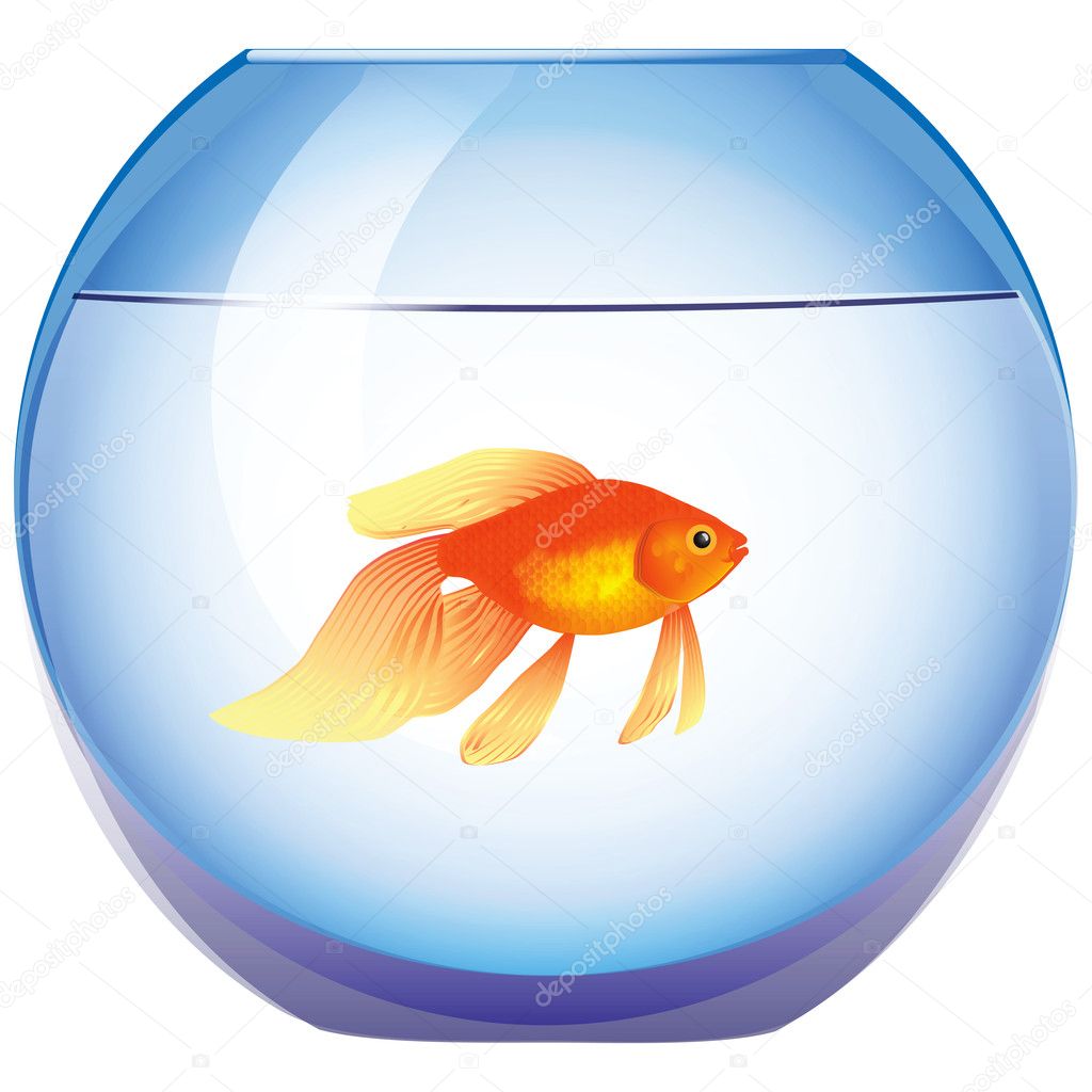 google fish clip art - photo #14