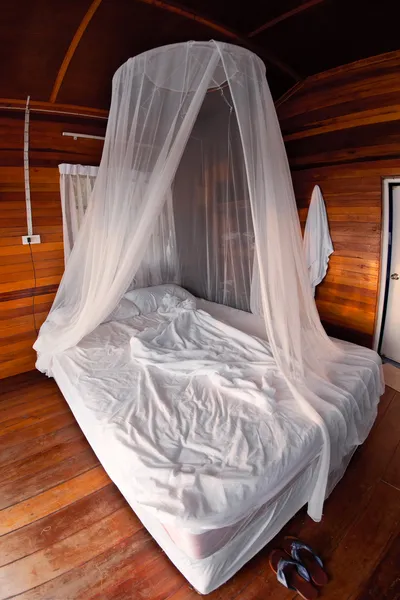 Mosquito net on the bed