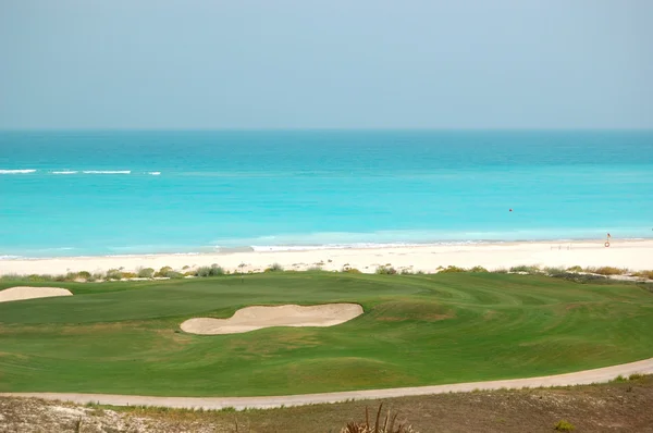 Golf field near beach of the luxury hotel, Saadiyat island, Abu