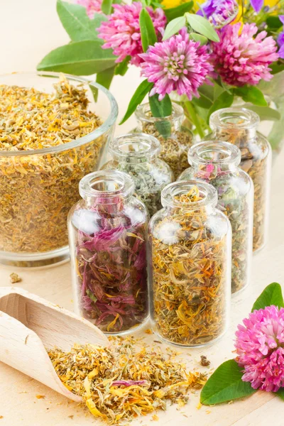 Different healing herbs in glass bottles, flowers bouquet, herbal