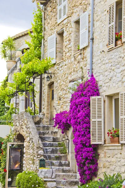 Provence, south of France