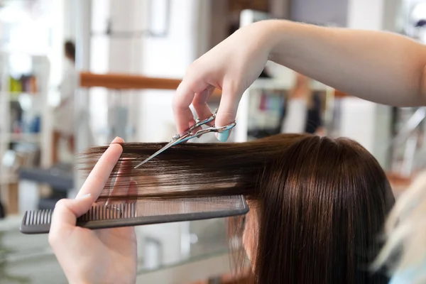 Hairdresser Cutting Client\'s Hair