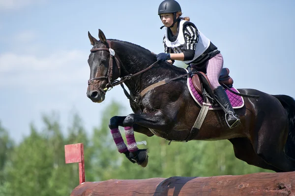 Equestrian sport. Woman eventer on horse negotiating cross-country Fixed obstacle Log fence