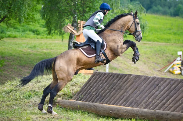 Equestrian sport. Eventer on horse negotiating cross-country Fixed obstacle