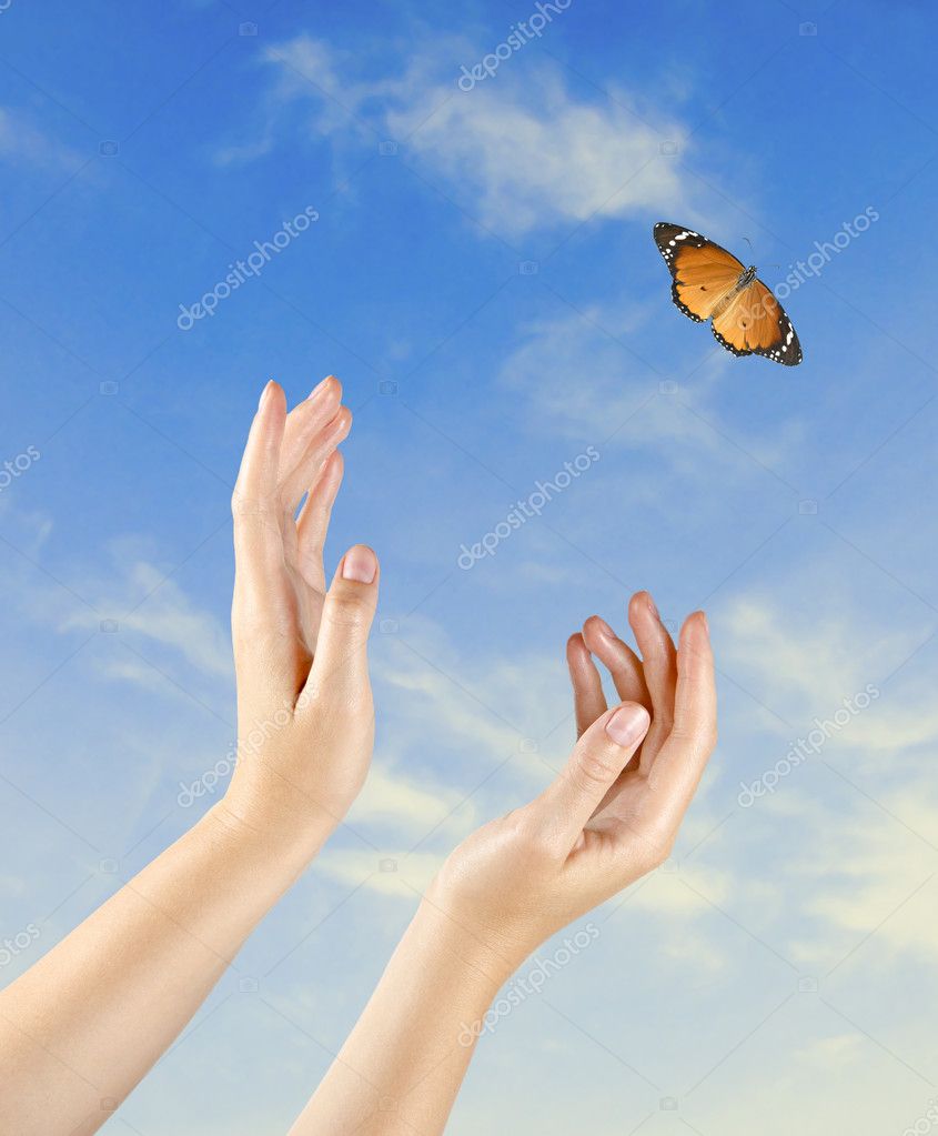 Butterfly flying from hand — Stock Photo © vaeenma 11591741