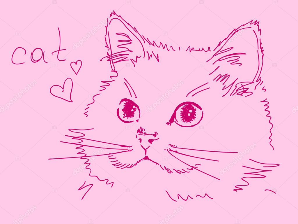 Кошка нарисованная своими руками Кошка нарисованная своими руками