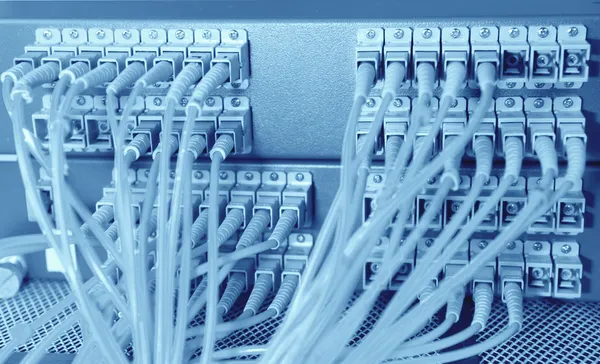 Shot of network cables and servers in a technology data center