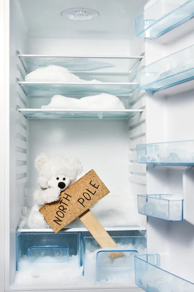 Polar bear in refrigerator with North Pole sign. Global warming