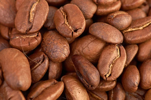 Fress coffee beans