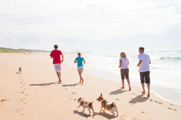 Active happy family with dogs running on beach