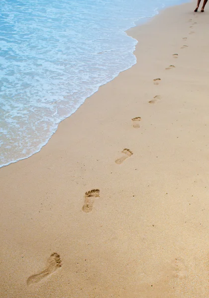 Footprints on sand of sea beach