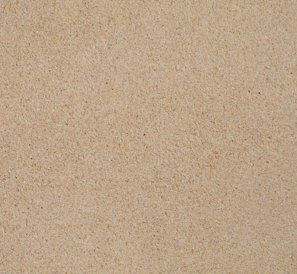 Dry clean beach sand background texture