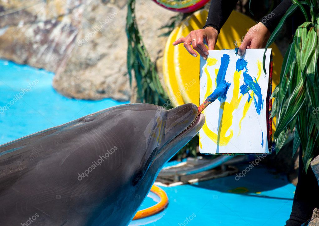 Smart dolphin drawing with paint brush — Stock Photo © ALesik #10744278