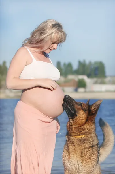 Pregnant woman and sheep-dog