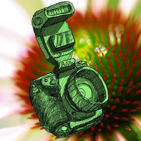 Digital SLR camera sketchs with nice close up flower background