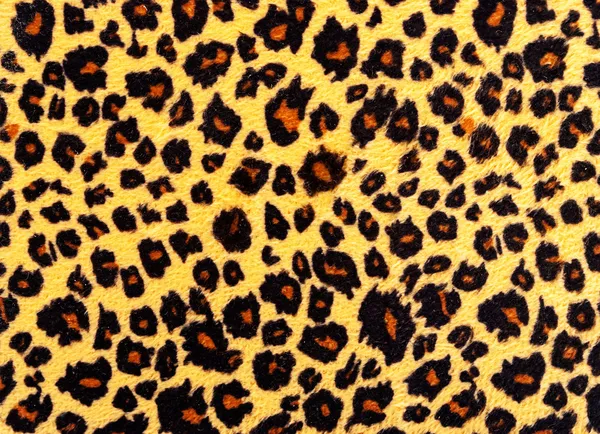Leopard skin texture.