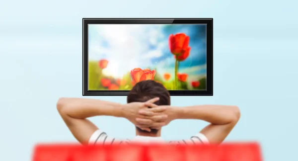 Adult man watching educational channel about nature by tv