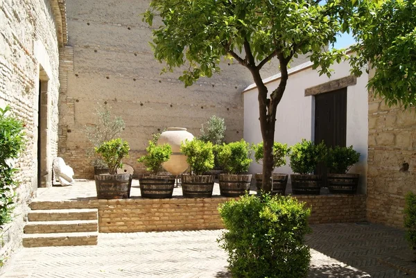 Patio with garden pots in the Real Alcazar