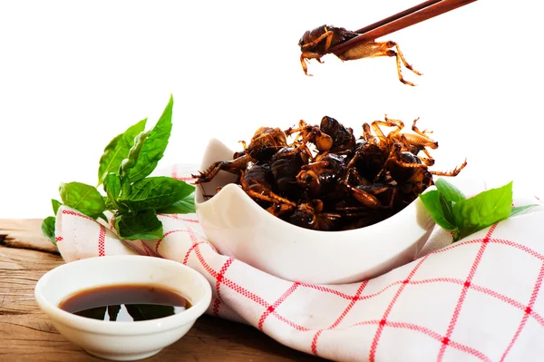Insects food