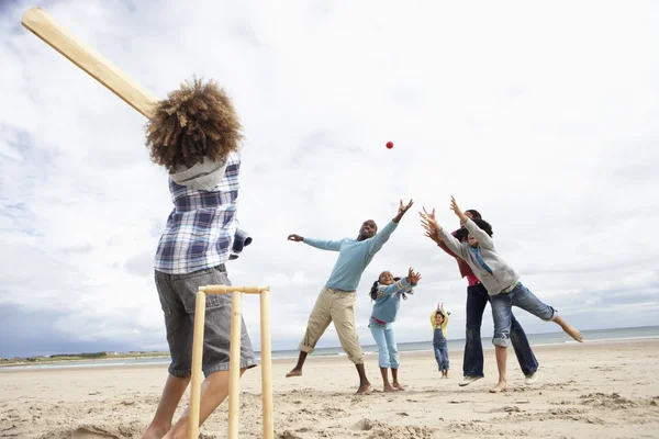 Family playing cricket on beach — Stock Photo #11881971