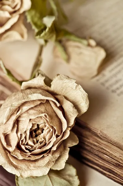 Vintage still life with dry rose and old book