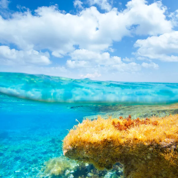 Ibiza Formentera underwater waterline blue sky