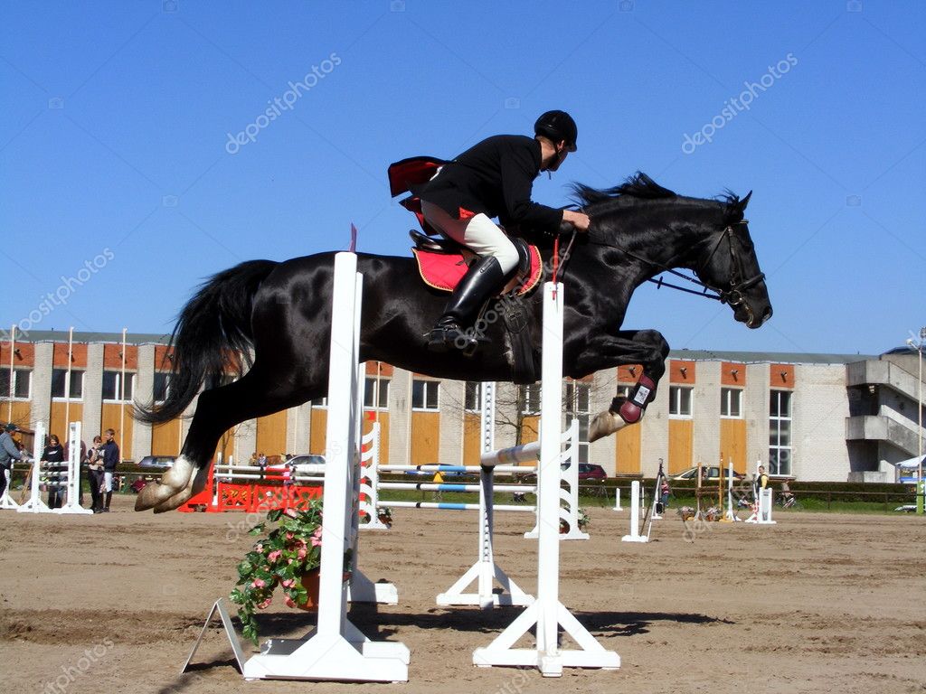 Black Horses Jumping