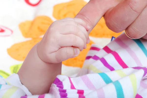 Small nursery hand keeps hand a father