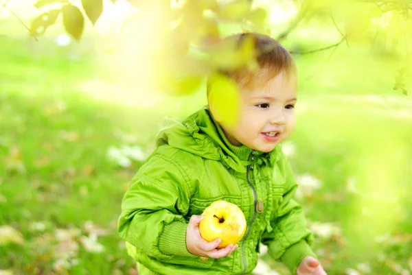The small beautiful boy walks on a green glade with an apple