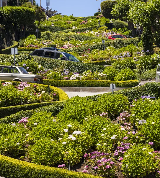 View of Lombard Street, the crookedest street in the world, San