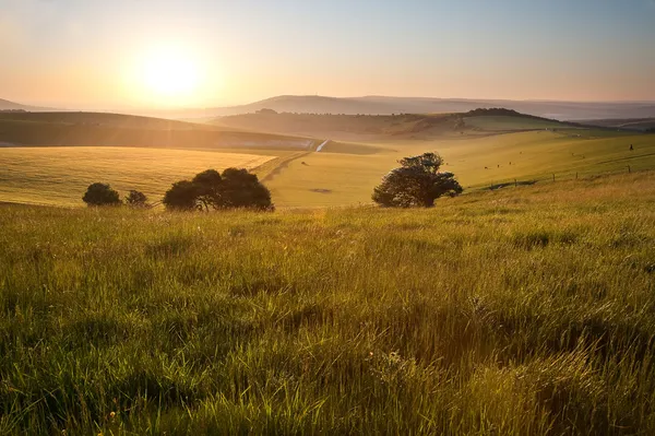 Summer sunrise over English countryside rural landscape