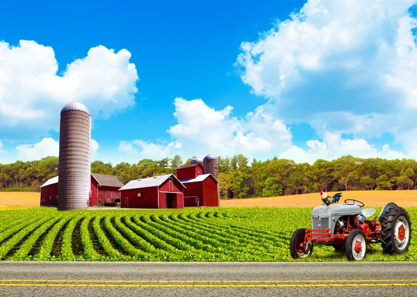Country Farm Landscape With Tractor