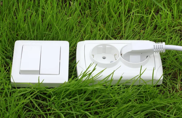 Power receptacle and light switch on a green grass