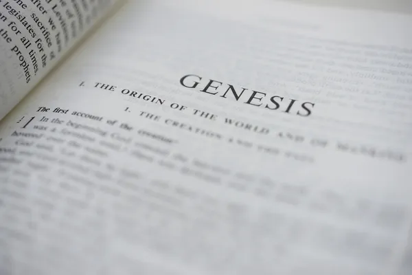 Word of God - Genesis from an angle
