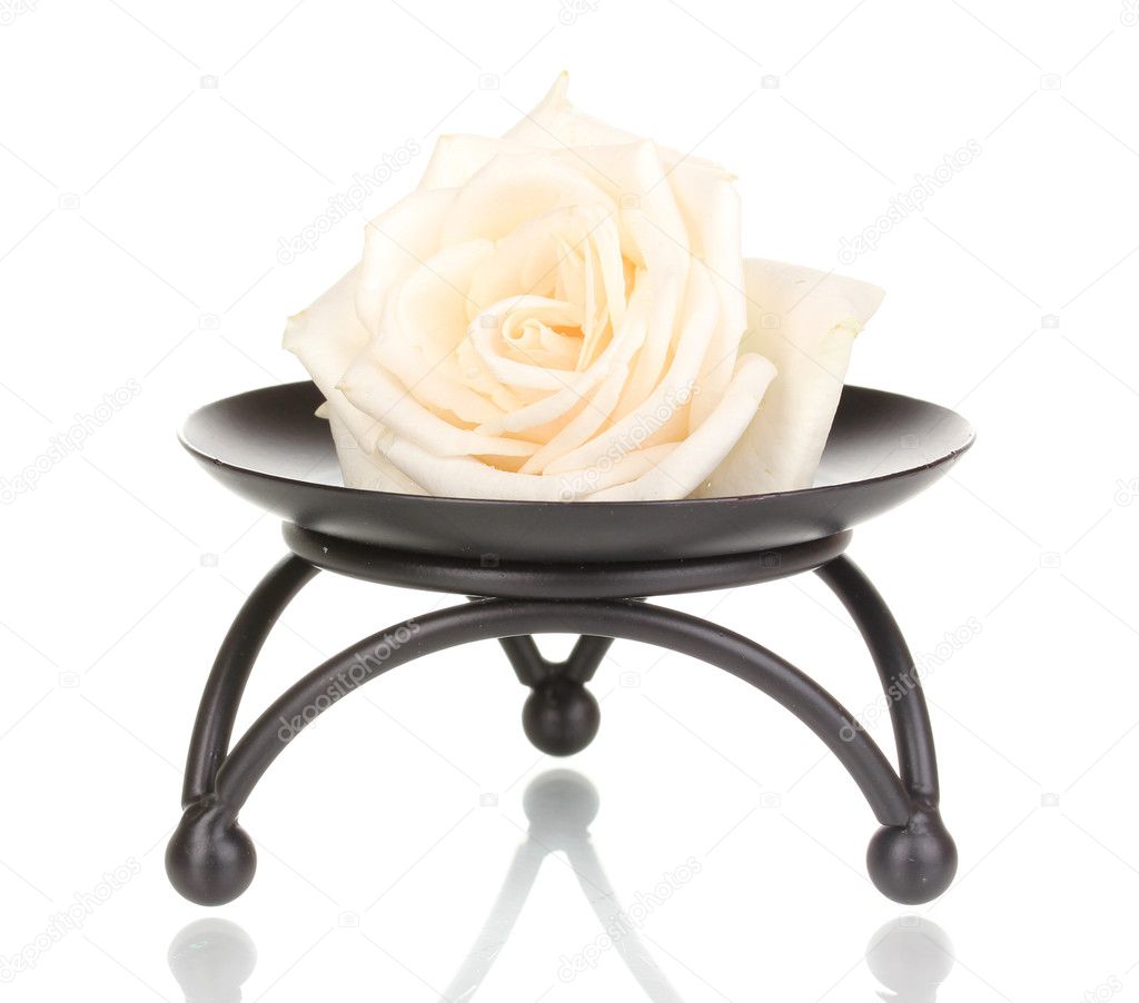 Beautiful rose on metal stand isolated on white — Stock Photo