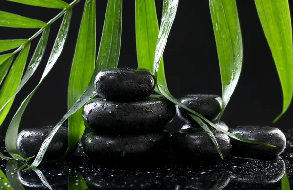 Spa stones with drops and green palm leaf on black background