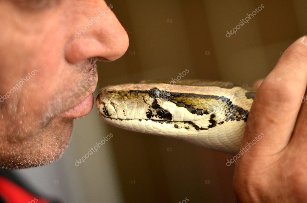 Holding Python