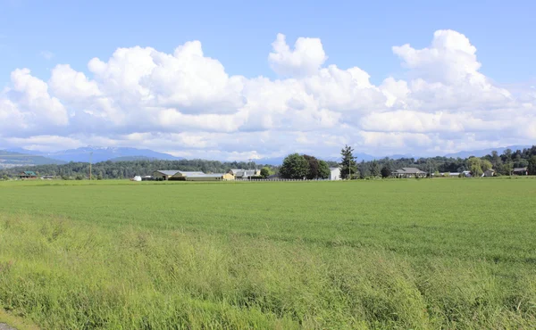 Farm Land In British Columbia - Stock Image - Everypixel