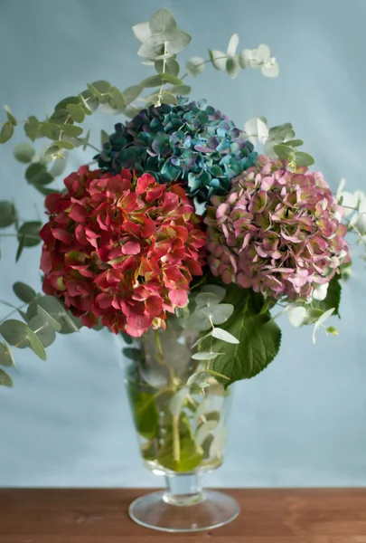 Bouquet of hydrangeas