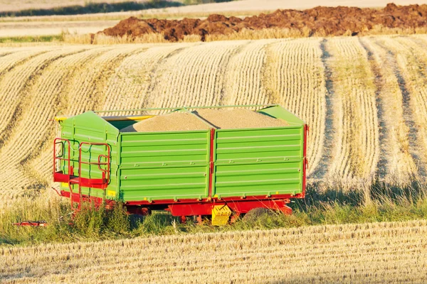 Trailer with corn