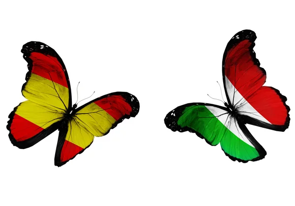 概念-两只蝴蝶与西班牙和意大利的国旗 - 图库