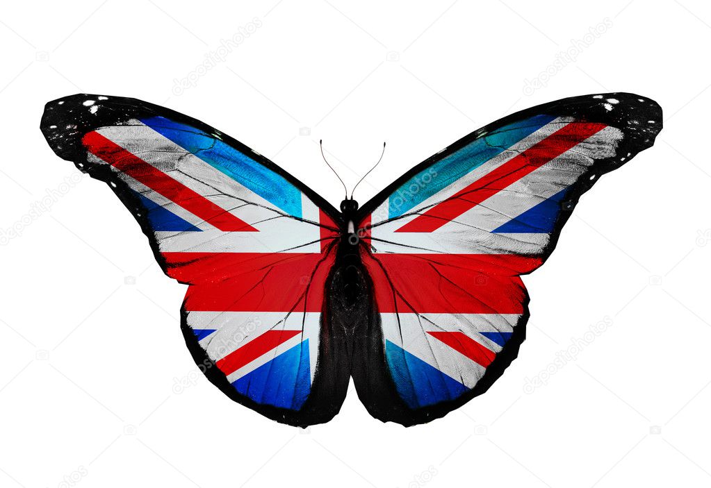 Englische Flagge Schmetterling fliegen, isoliert — Stockfoto © sun