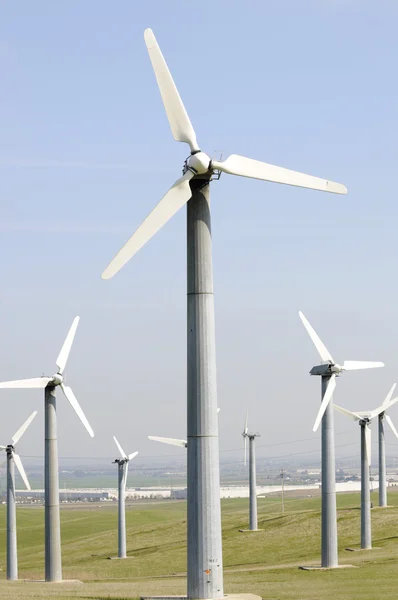 Wind generators farm
