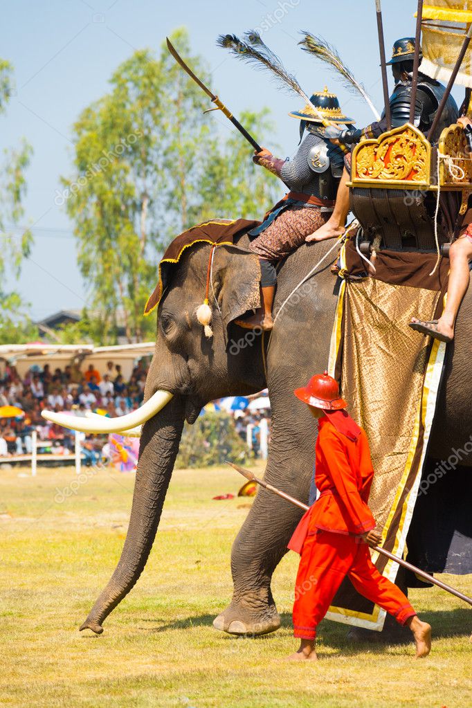 burmese elephant