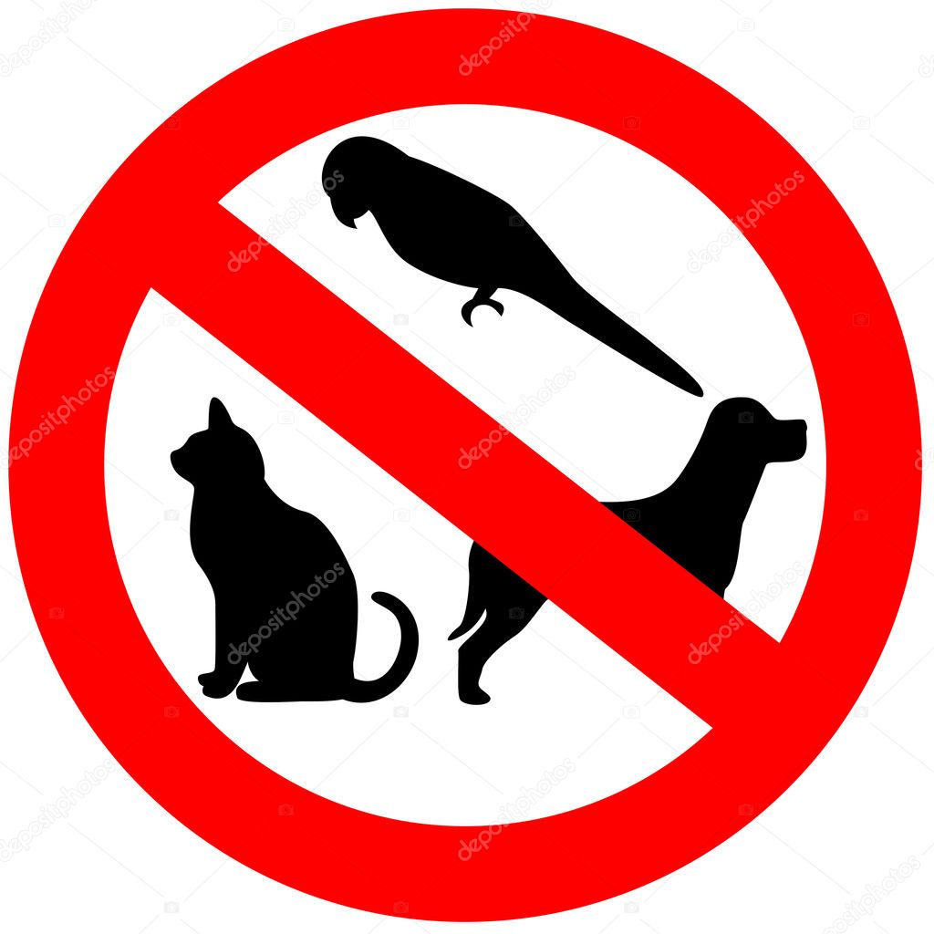 No Animals Sign Stock Photo Arcady 11896292 no-animals-sign-stock-photo-arcady-11896292