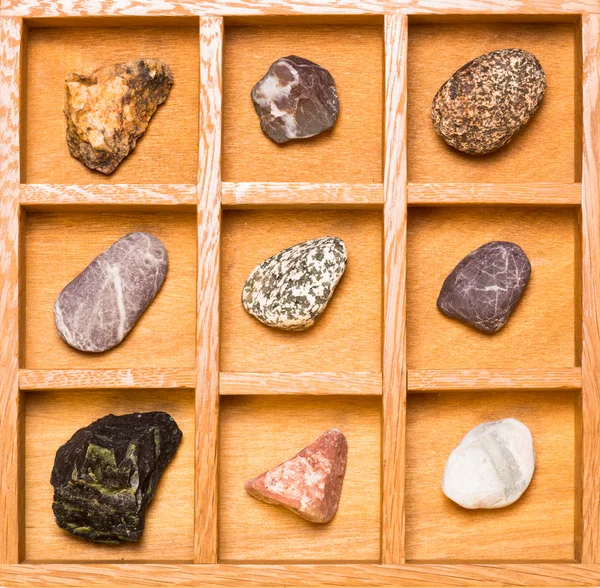 Shadow box with collection of rocks