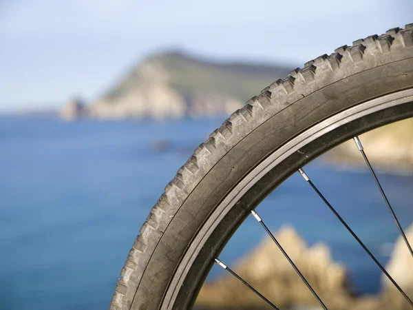 Mountain bike wheel with blurred landscape