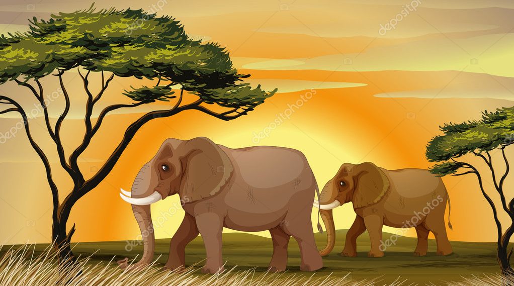 elephant under tree