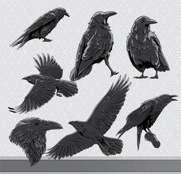 Ravens set
